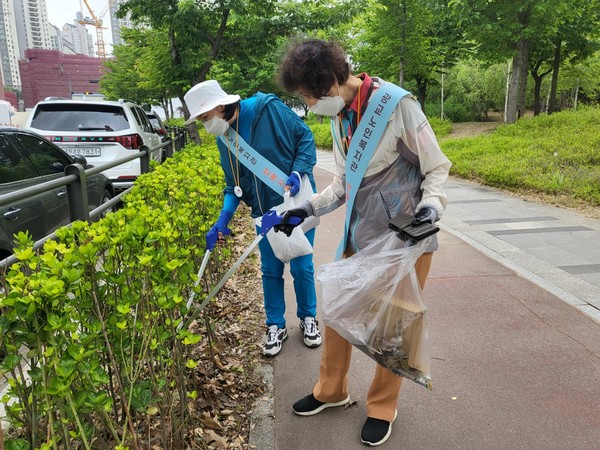 길거리에 흩어져 있는 쓰레기들을 수집하고 있는  선배시민 봉사단원들