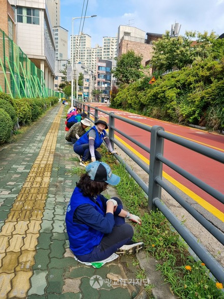 입북당수동 위원들이 학교앞애서 청소와 잡초를 제거하고 있다.