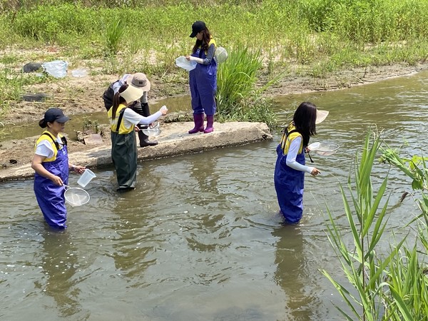 자원봉사자들이 생태탐사 및 수중환경정화활동을 하고있다 