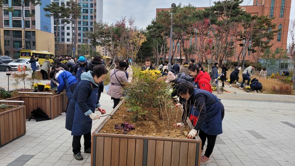겨울을 잘 이겨낼 식물들로 손바닥정원을 만들고 있는 시민들